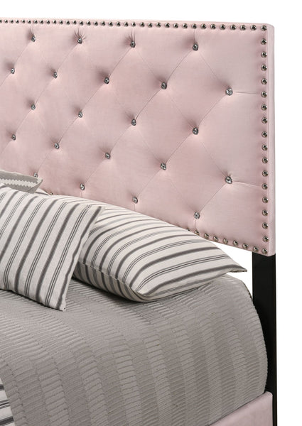 Chic Pink Transitional Full Bed