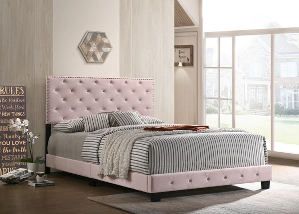 Chic Pink Transitional Full Bed