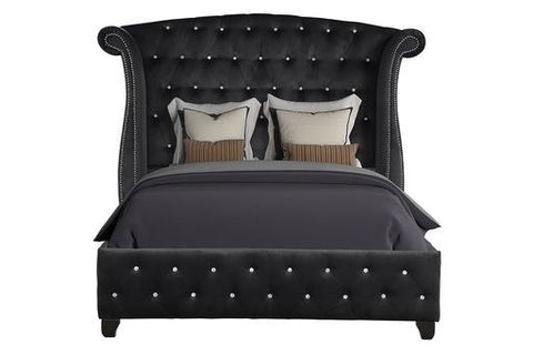 Sophia Upholstery Queen Size Bed Made With Wood in Black Color