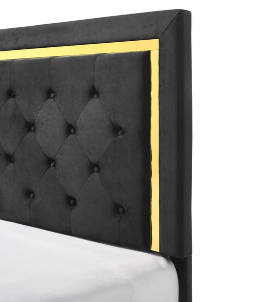 Contemporary Glam King Black Fabric Upholstered Panel 1pc Queen Bed Black Fabric Gold Legs Bedroom Furniture