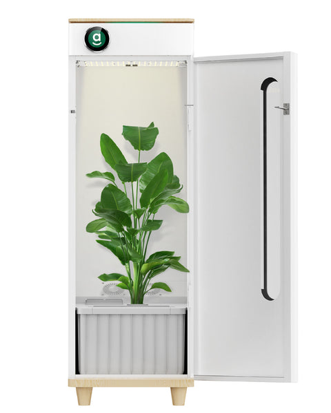 Hey Abby automatic hydroponics home grow box Intelligent with 5 Sensors Complete System Grow Tent Samsung LM301H & Cloud Climate Control